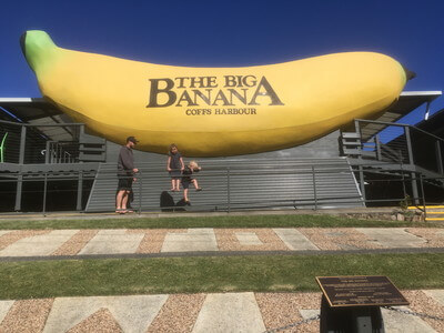 ビッグバナナ