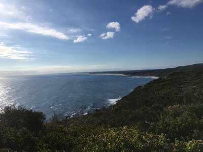 モーニントン半島