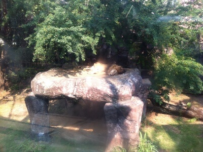 バンコクのドゥシット動物園