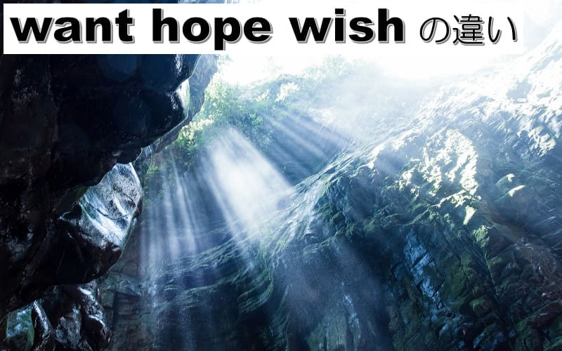want・hope・wishの違い