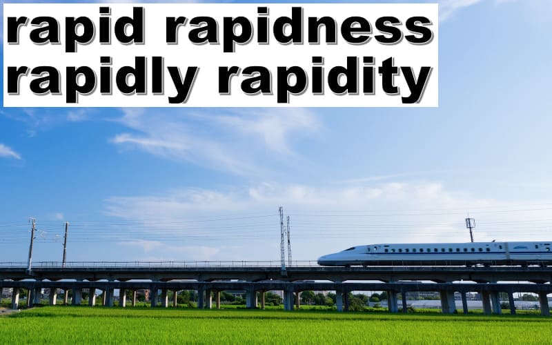 rapid・rapidly・rapidity・rapidnessの違いと使い方