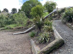 Matakana Wharf