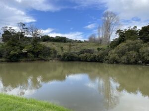 Matakana Wharf
