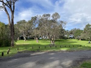 Wenderholm Regional Park
