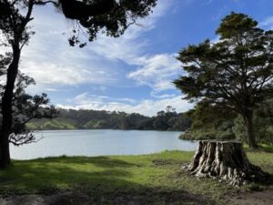 Wenderholm Regional Park