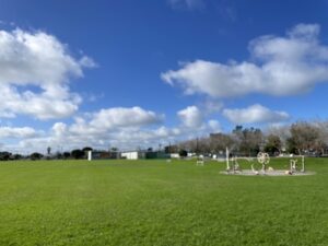 SELWYN PARK