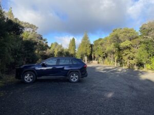 トラウンソン・カリウ・パークの駐車場