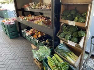 THE FRESH MARKET