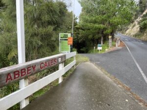 Abby caves