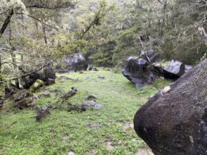 Abby caves