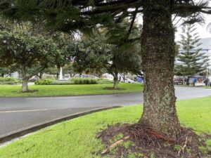 Smales Farm Market