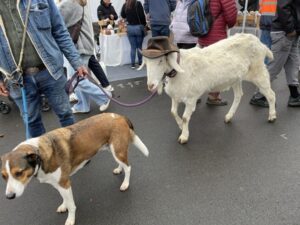 Smales Farm Market