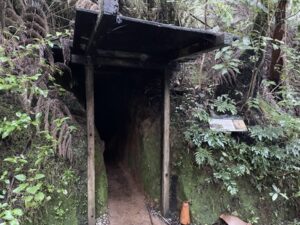 ドライビングクリーク