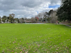 Normanton Park