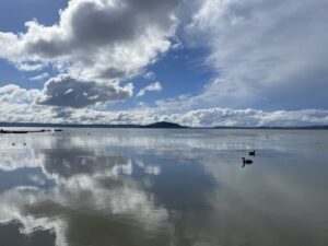 ロトルア湖