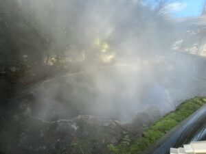 クイラウ公園