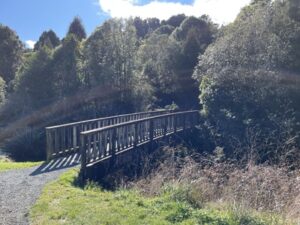 mangapohue natural bridge