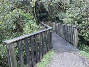 mangapohue natural bridge