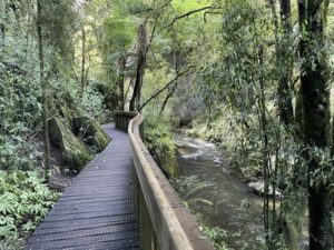 mangapohue natural bridge