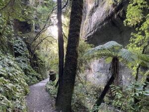 mangapohue natural bridge