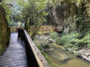 mangapohue natural bridge