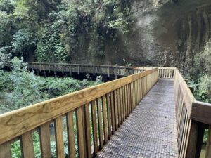 mangapohue natural bridge