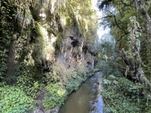 mangapohue natural bridge