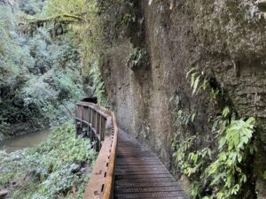 mangapohue natural bridge