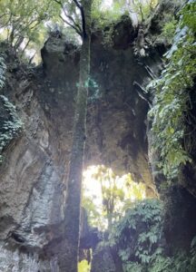 mangapohue natural bridge