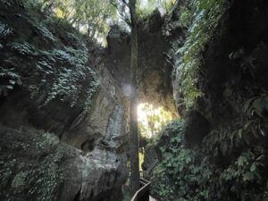 mangapohue natural bridge