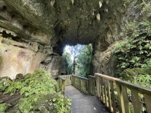 mangapohue natural bridge