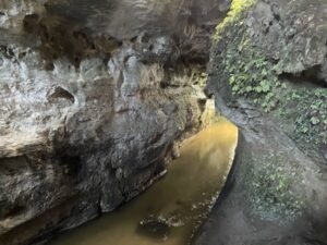 mangapohue natural bridge