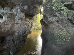 mangapohue natural bridge