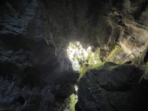 mangapohue natural bridge