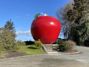 アイスクリームショップ