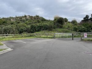 TE REWA REWA BRIDGE