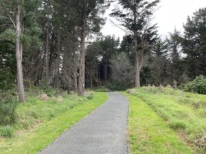 TE REWA REWA BRIDGE