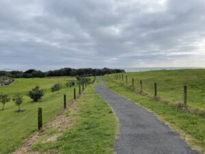 TE REWA REWA BRIDGE