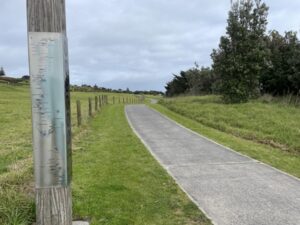 TE REWA REWA BRIDGE