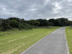 TE REWA REWA BRIDGE