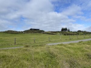 TE REWA REWA BRIDGE