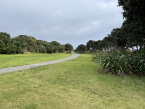 TE REWA REWA BRIDGE