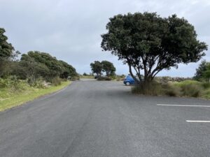 TE REWA REWA BRIDGE