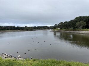 TE REWA REWA BRIDGE