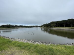 TE REWA REWA BRIDGE