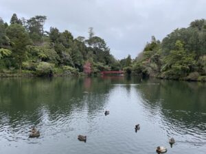 プケクラ・パーク