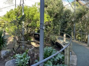 ブルックランズ動物園