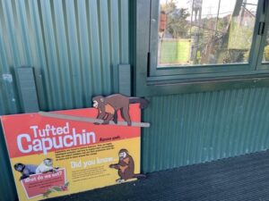 ブルックランズ動物園