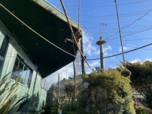 ブルックランズ動物園