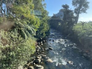 Taranaki's Heritage Railway